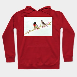 Rose Breasted Grosbeak Couple Hoodie